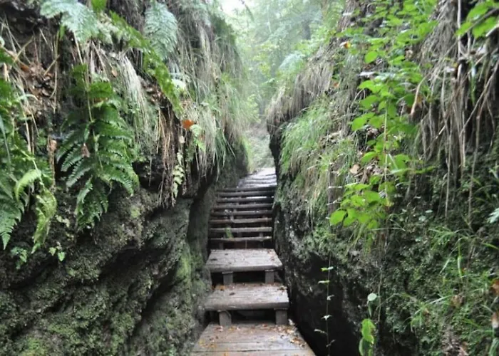 Kleiner Saal Im Villenviertel Apartament Eisenach
